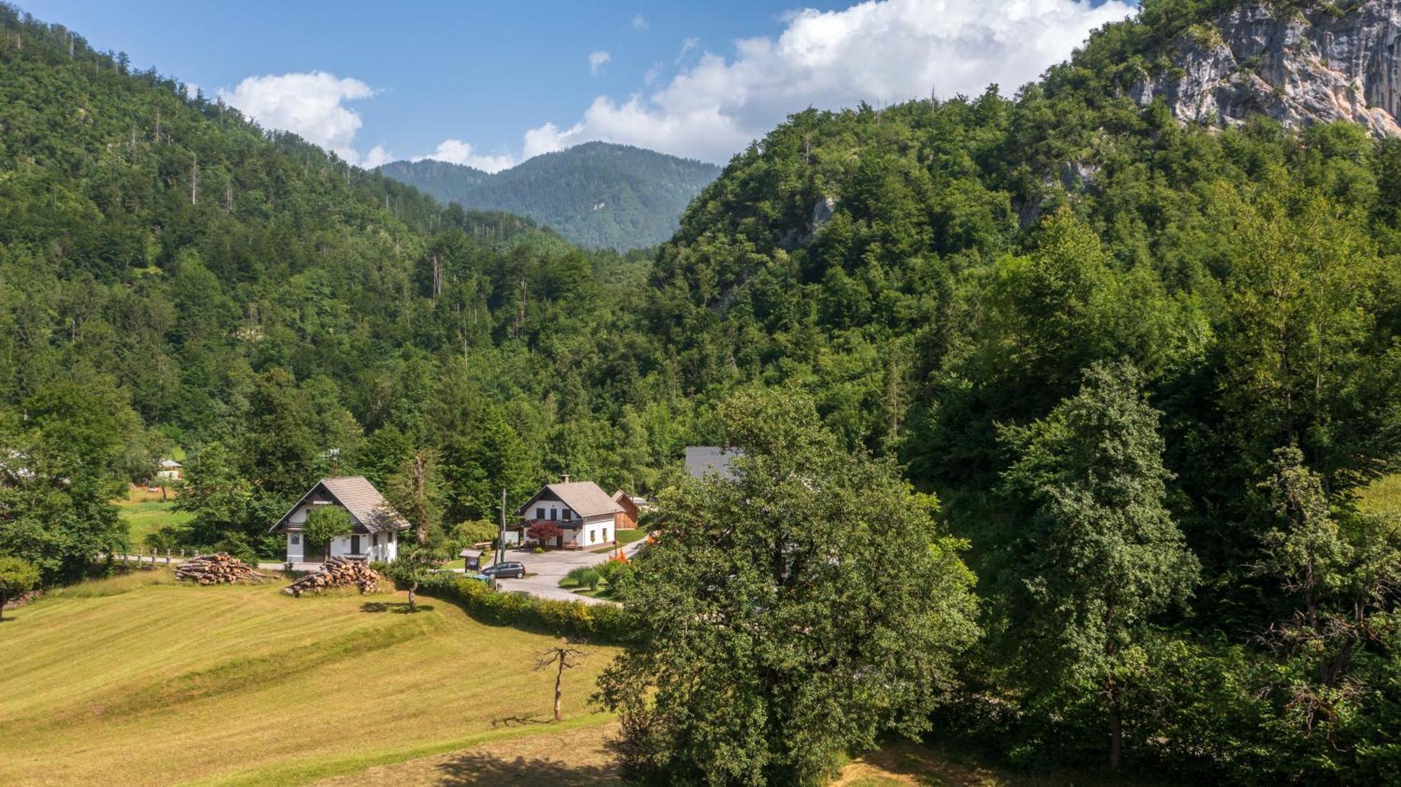 Apartma Pri Lipi Bohinj Exterior foto